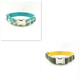 Original New Dog Collar Retractable Dog Leaning Dog Collar Original new dog collar retractable dog leaning dog collar