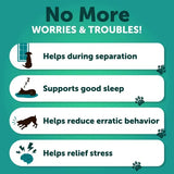 Hemp Calming Chews For Dogs Dog Anxiety Relief Treats With Hemp Oil Turmeric Valerian Ginger Health And Wellness Supplements For Dogs Hip And Joint Support 120 Treats