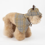 Cute Personalized Cloak Spring And Autumn Pet Clothes