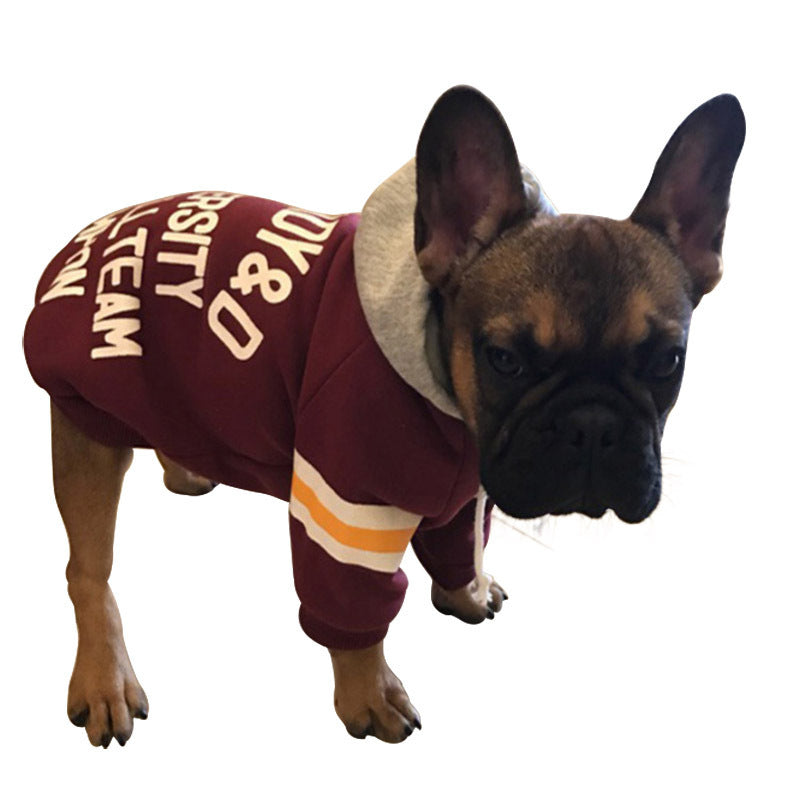 Small And Medium-sized Dog Corgi In Cotton Sweater