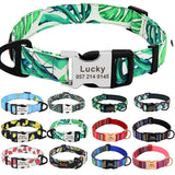 Nylon Pet Collar Personalized Customization